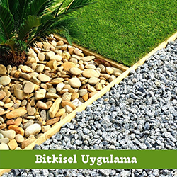 BİTKİSEL UYGULAMA